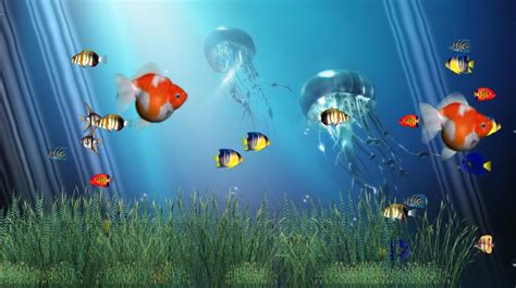 49 Animated Fish Tank Desktop Wallpapers Wallpapersafari