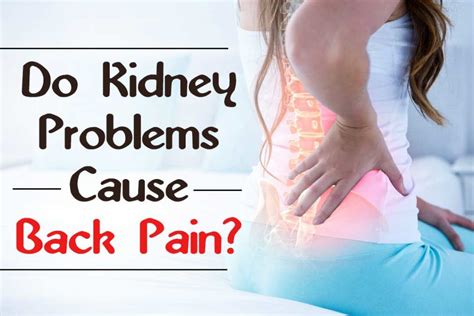 Can Kidney Problems Cause Lower Back Pain