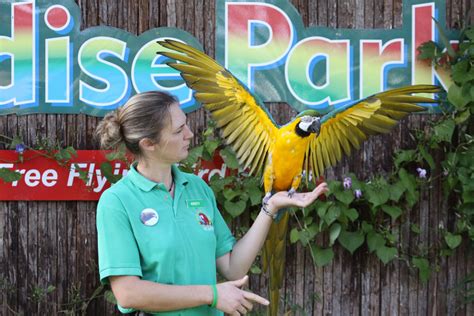 Amazing Shows Paradise Park