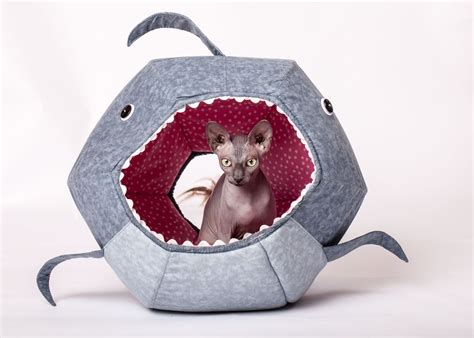 Feed Your Cat To The Predator Of The Seas The Shark Cat Ball Design Is