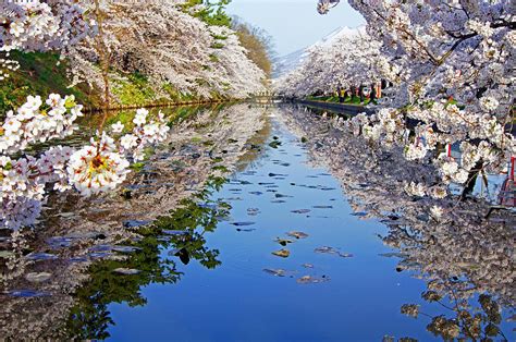Cherry Blossom Photograph By The Landscape Of Regional Cities In Japan
