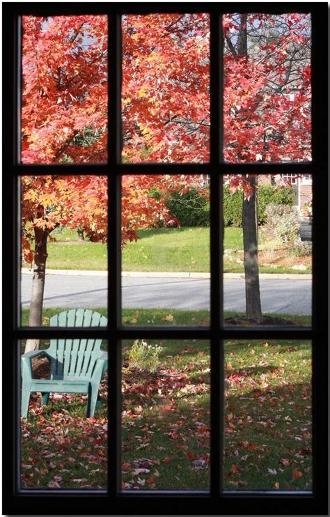 Autumn Through The Window Through The Window Window View Looking