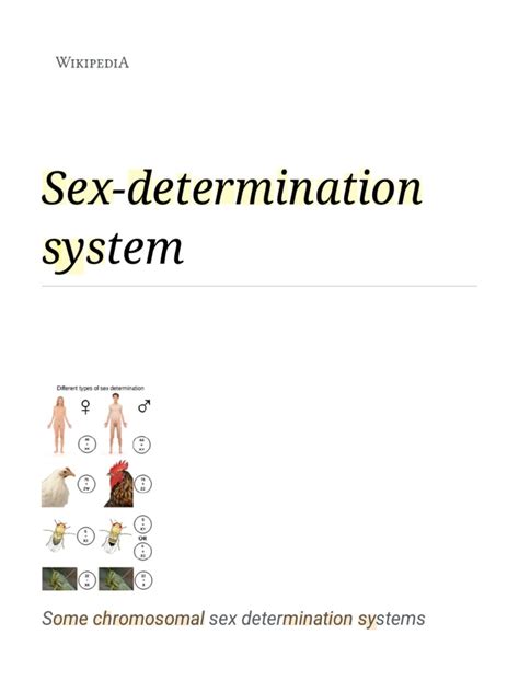 Sex Determination System Wikipedia Pdf Male Sex