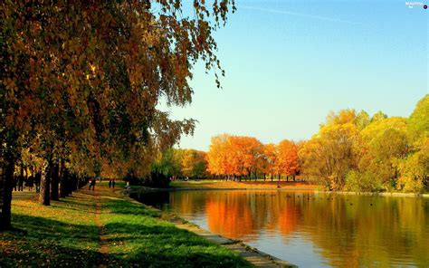 Color Park Viewes Autumn Trees River Beautiful Views Wallpapers