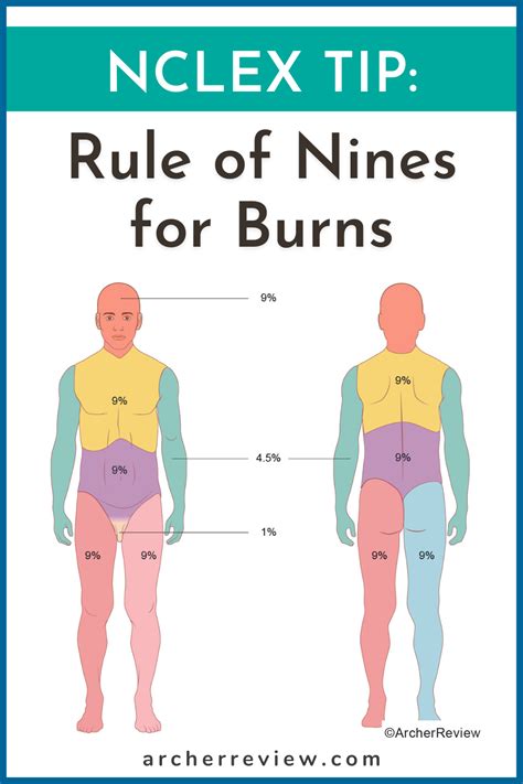 NCLEX Tip Rule Of Nines For Burns Nclex Rule Of Nines Nursing