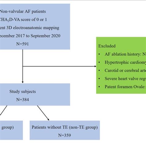 Flow Diagram Showing The Process For Selecting Our Study Patients