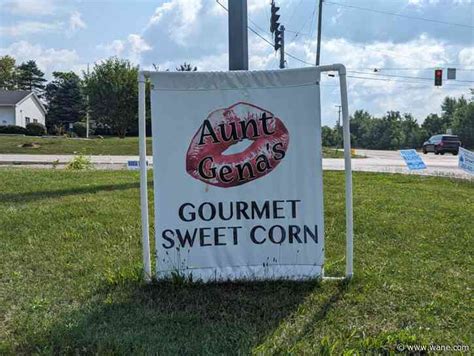 One Bad Ear Of Corn Aunt Gena S Gourmet Sweet Corn Works To Keep Honor System Amid Rise In