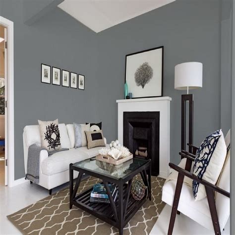 Astounding Grey Paint Ideas For Living Room Of Why
