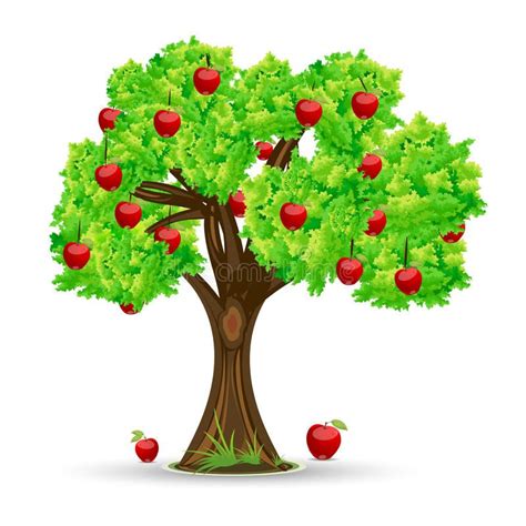 Apple Tree Royalty Free Illustration Apple Tree Apple Picking Apple