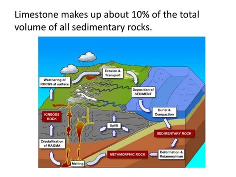 Ppt Limestone Powerpoint Presentation Free Download Id2304168