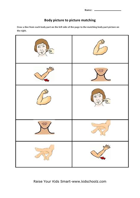 Body Parts Worksheet For Preschool Human Body Crafts Crafts And Free