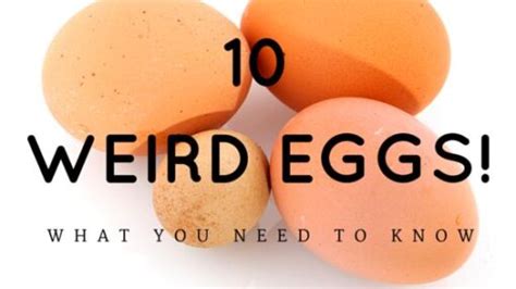 Do Eggs Go Bad How Long Do Eggs Last Can Eggs Go Bad Heres Answers