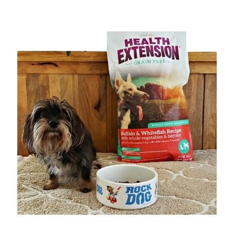 Looking for dry dog food for sensitive stomachs, diarrhea, vomiting and gas? Holistic Health Extension Buffalo and Whitefish Dog Food ...