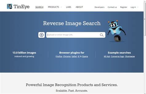 8 Best Reverse Image Search Tools To Do Reverse Image Search