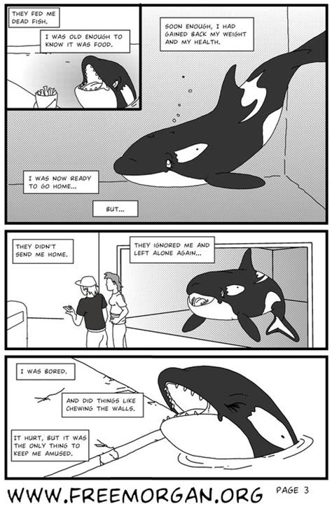 morgan s tale a comic orca art comics orca