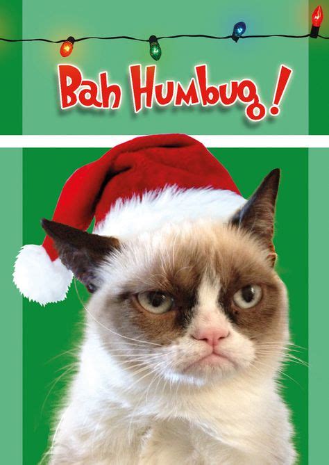 Grumpy Cat Bah Humbug Christmas Cards 18 Seriously Thinking Of