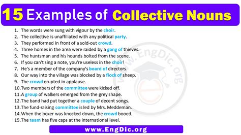 15 Examples Of Collective Nouns In Sentences EngDic