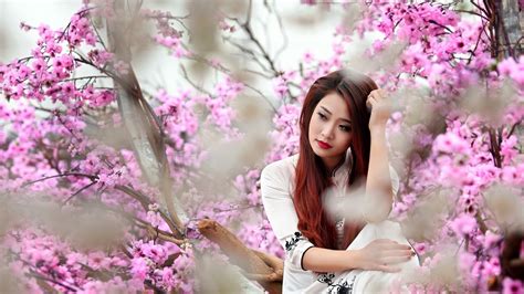 Peony Model Girl Flower Asian Pink White Woman Hd Wallpaper