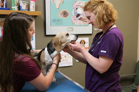 Indian Tree Animal Hospital in Arvada, CO (Veterinary Services) - 303
