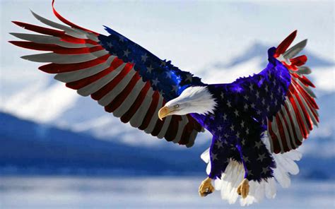 Update Eagle Wallpaper American Flag In Cdgdbentre
