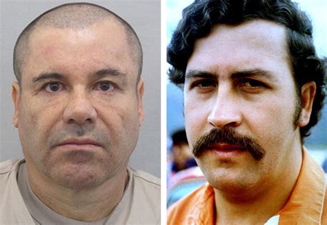 El Chapo Vs Pablo Escobar ¿qué Los Une Y Qué Los Separa Univision