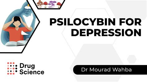 Psilocybin Treatment For Depression Clinical Insights Drugscience