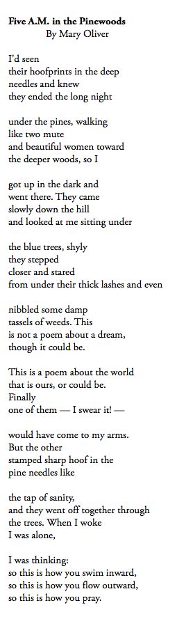 5 Am In The Pinewoods Mary Oliver Poetry Words Poetic Words