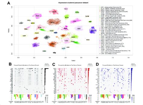 The Cancer Genome Atlas Tcga Dataset Used A T Distributed