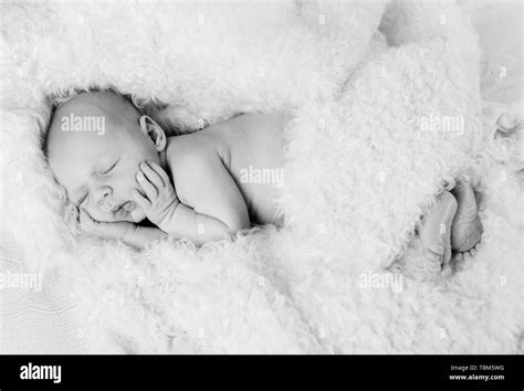 Portrait Of A Newborn 12 Days Old Baby Boy Stock Photo Alamy