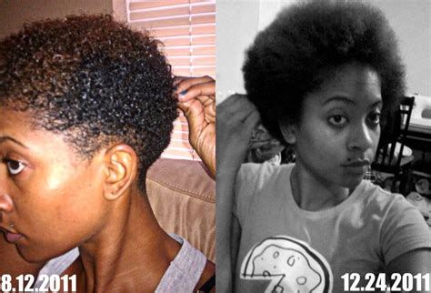 What are you natural hair goals? December 2011 ~ NaturallyMee♥