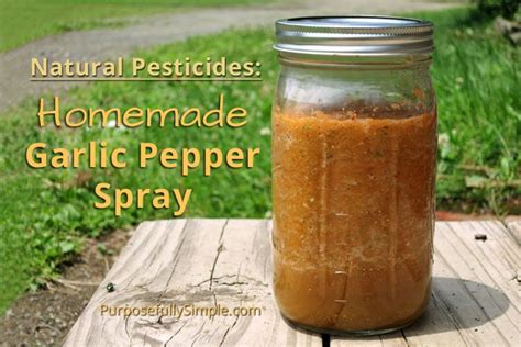 Natural Pesticides Homemade Garlic Pepper Spray