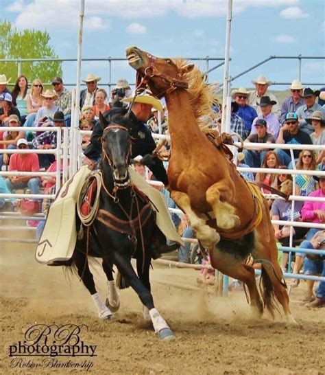 Miles City Bucking Horse Sale Celebrates 68 Years We