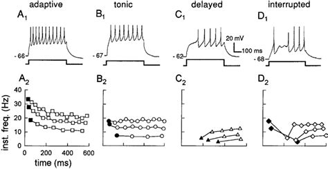 Categories Of Firing Patterns Of All Ornone Action Potentials In