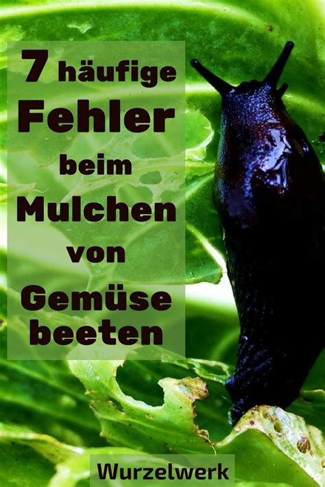 Dit betekent dat één grasmaaier drie verschillende functies heeft die eenvoudig kunnen worden ingesteld met een draaiknop. Die 7 größten Fehler beim Mulchen von Gemüsebeeten ...