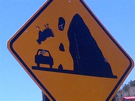 Falling Rocks And Falling Cows Funny Street Signs Road Signs Fun