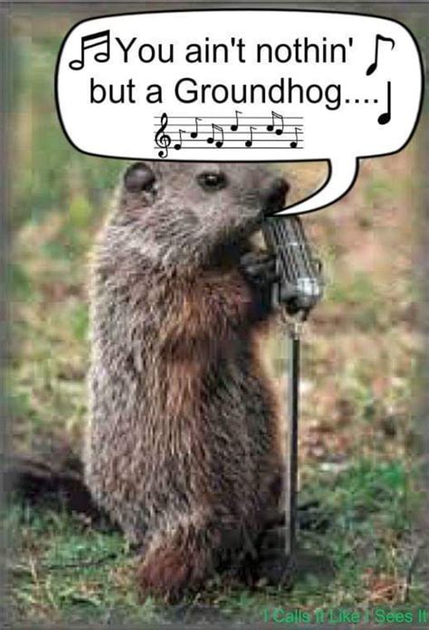 Pin By Julie Bennett On Greetings Earthlings Groundhog Day Happy