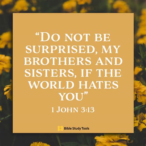 Does The World Hate You 1 John 313 Your Daily Bible Verse