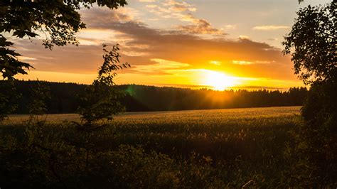 Maybe you would like to learn more about one of these? sunset, Landscape, Field, Sweden HD Wallpapers / Desktop ...