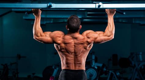 Best Exercise For Bigger Back Muscles Muscle And Fitness