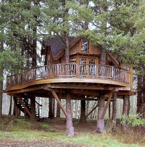 Construir casas en árboles es una tendencia en medio mundo. Sueño hecho realidad: Cabañas sobre árboles | Sustenthábit