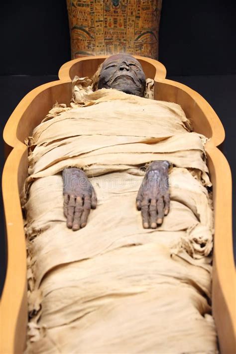 Egyptian Mummy On An Open Casket Affiliate Mummy Egyptian