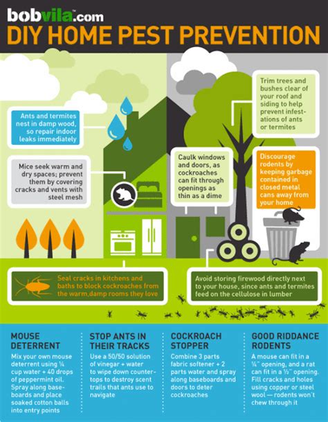 We recognize your pest management needs are critical to the success of your. DIY Pest Control (INFOGRAPHIC)