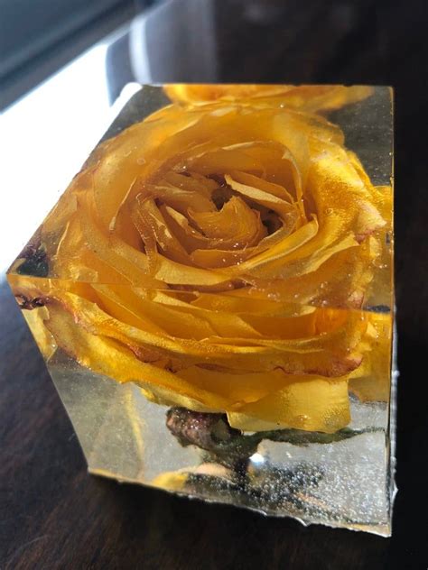 I have resin, i think i might try with a flower just to see what happens. Dried Yellow Rose in Clear Epoxy Cube Paperweight | Etsy ...