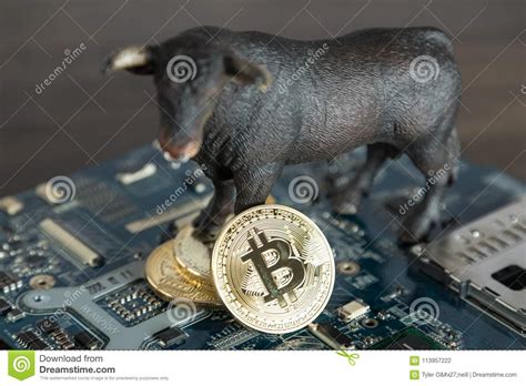 There is no market open and market close. Close Up Bull With Bitcoin Cryptocurrency On Computer ...