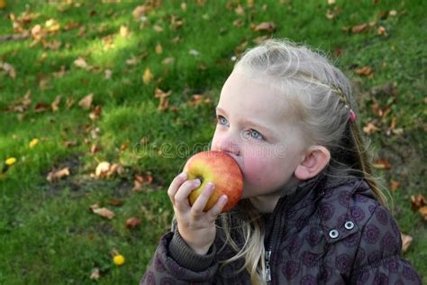 Girl Eating Apple Stock Image Image Of Face Alone Kids 62921371