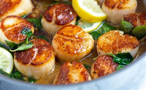 Be it speculation, gambling, or normal just activities. Is Scallop Halal? | Islamic Portal