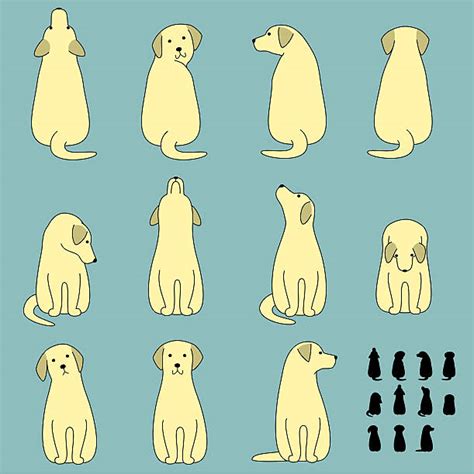 Best Dog From Behind Illustrations Royalty Free Vector Graphics And Clip