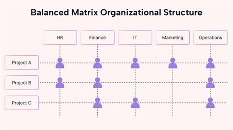 matrix organizational structure complexity and efficiency motion motion