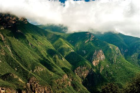 Día Internacional De Los Bosques 7 De Los Más Bellos De México