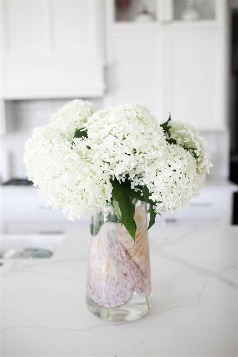 Tips For Enjoying Hydrangea In A Vase How To Revive Wilted Blooms
